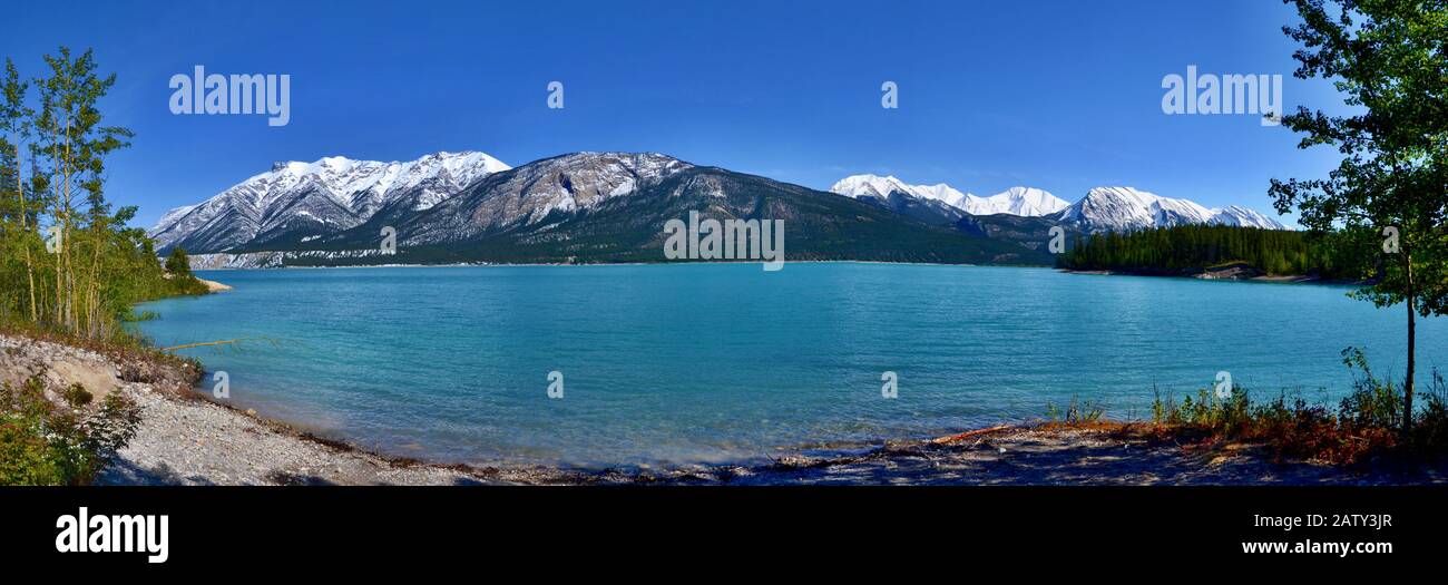 Bellissimo lago blu Abraham con alte montagne coperte di neve sullo sfondo. Giornata di sole, cielo blu, pianure di Kootenay Riserva ecologica. Canada. Foto Stock