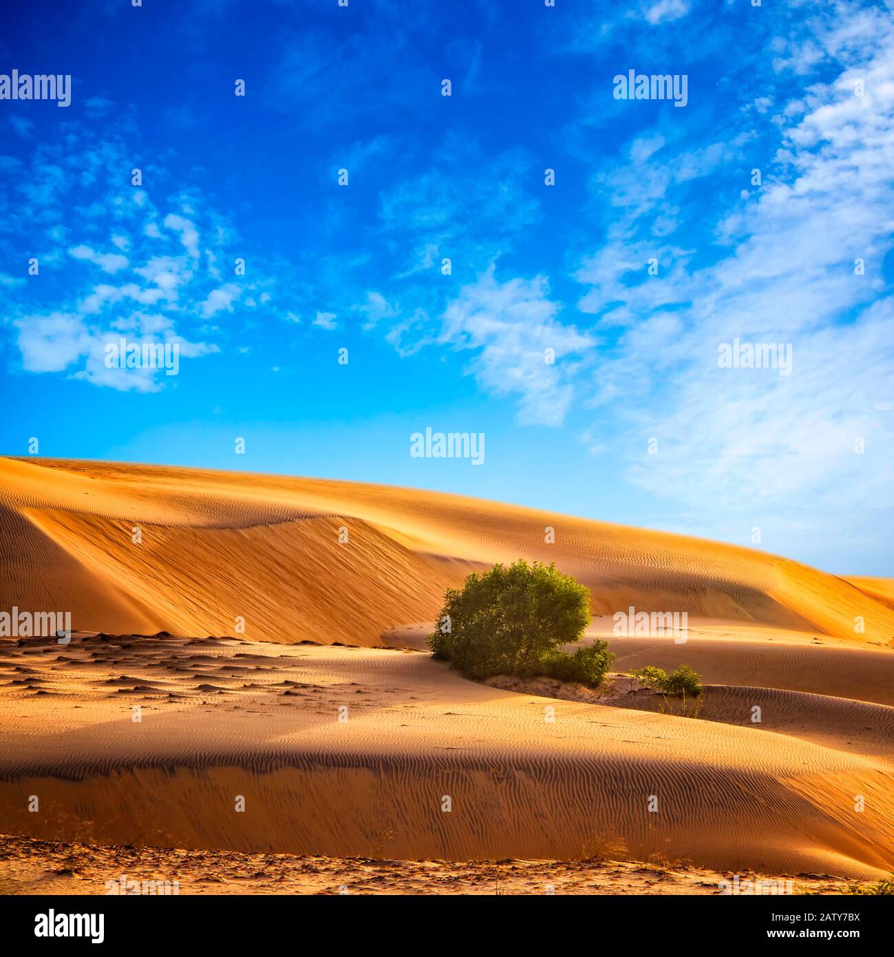 Sfondo naturale con paesaggio desertico e cielo blu in Marocco, Nord Africa. Ci sono dune di sabbia nel Sahara Foto Stock