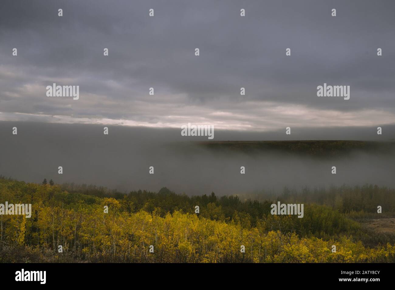 Ranch a calgary alberta Foto Stock