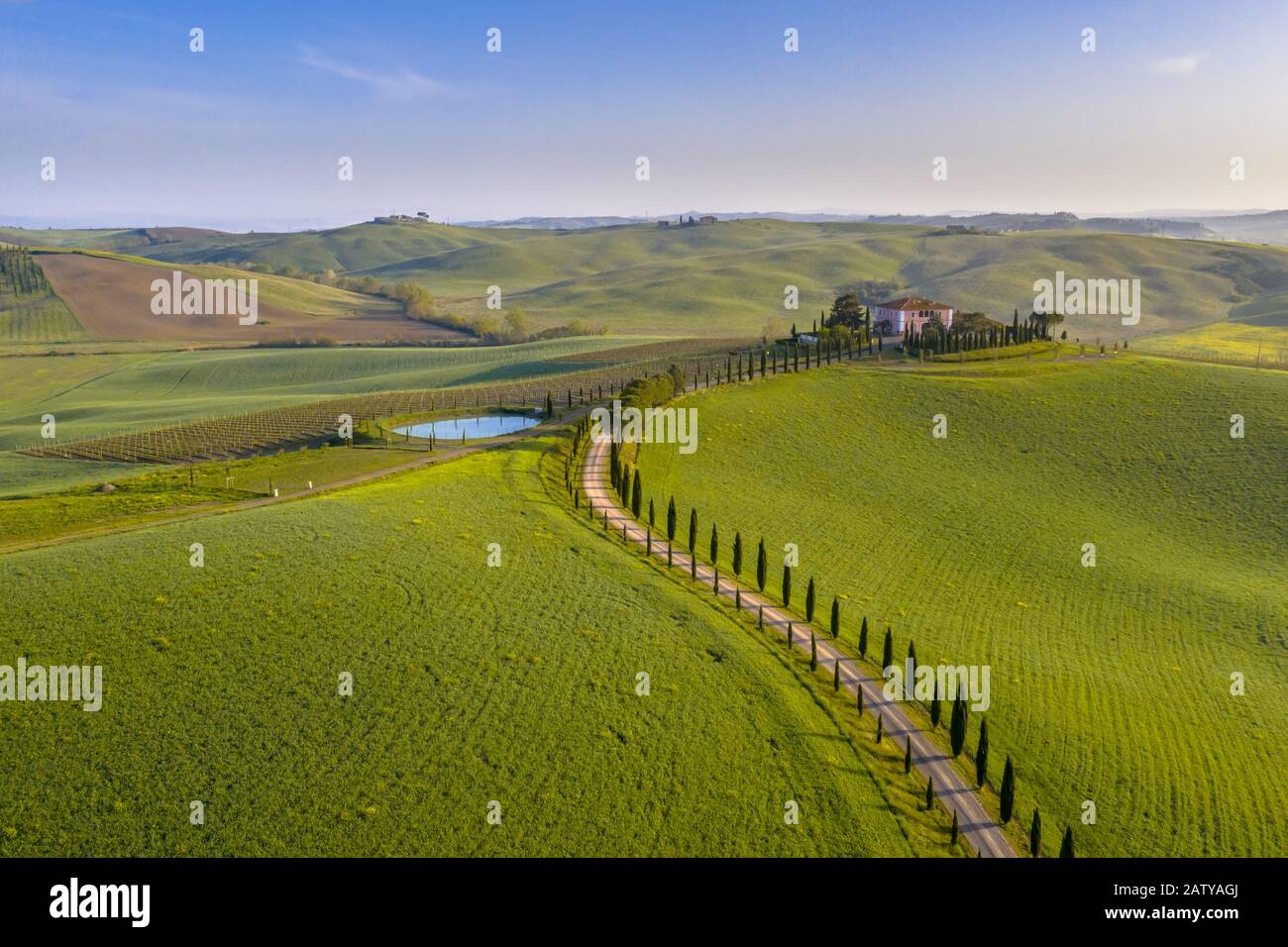 Veduta aerea della campagna Collinare della Toscana in nebbia al mattino in Val d'orcia, Italia, aprile. Foto Stock
