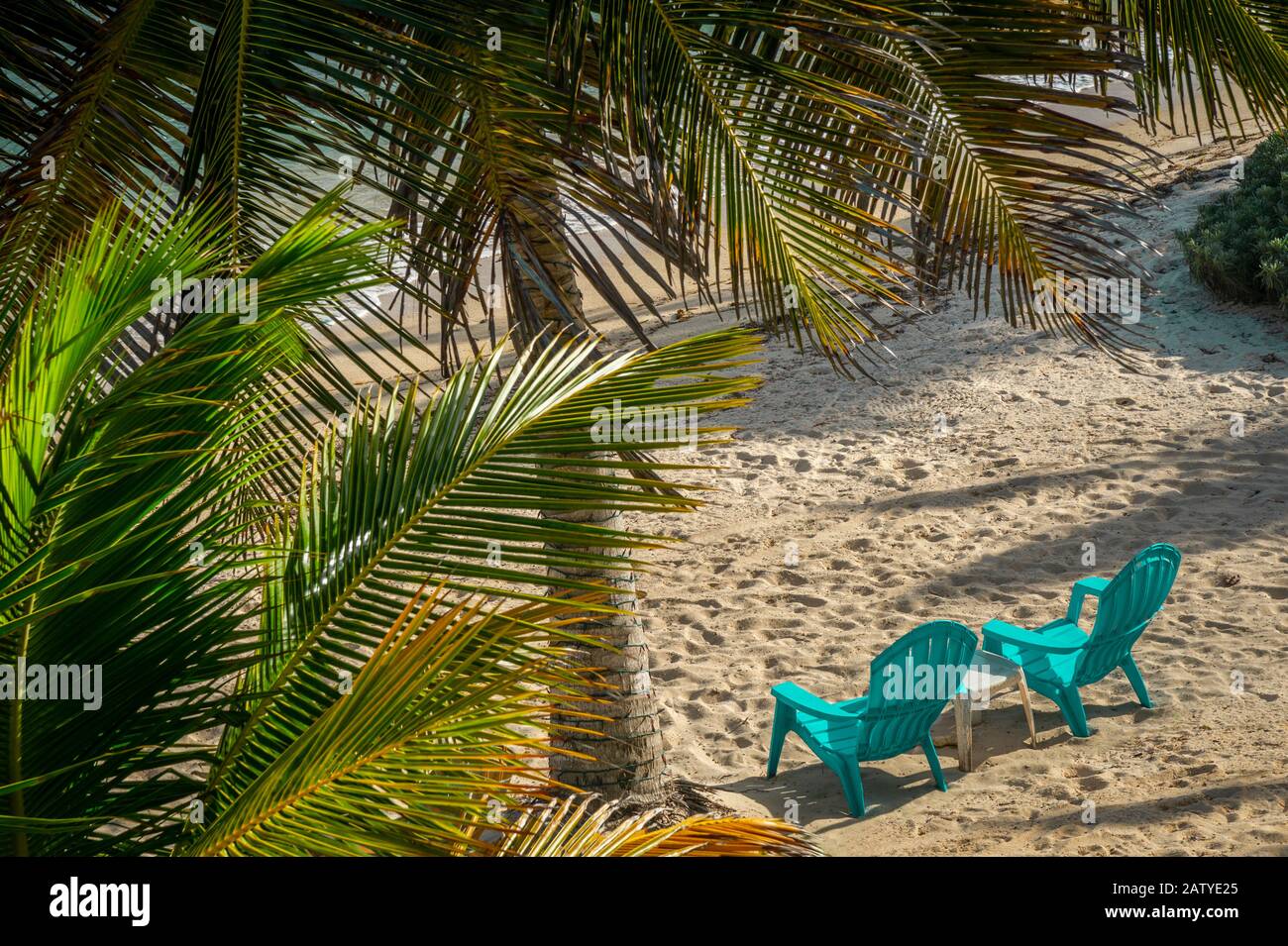 Sedie da spiaggia e palme sulla spiaggia, Grand Cayman Island Foto Stock
