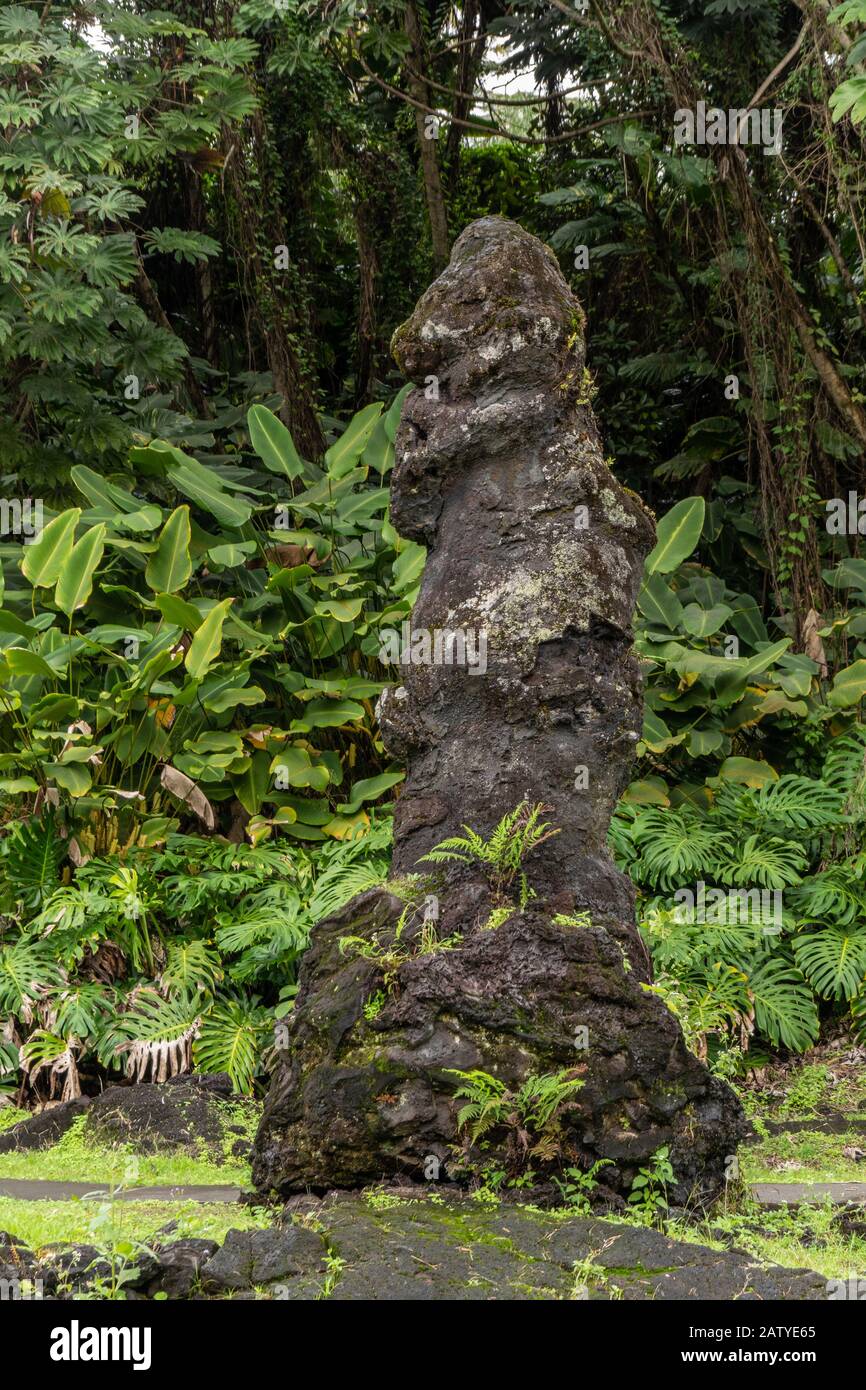 Leilani Estate, Hawaii, Stati Uniti. - 14 gennaio 2020: Secolare albero di lava nero a faccia di pony nel verde state Monument Park. Solo sfumature di nero e verde Foto Stock