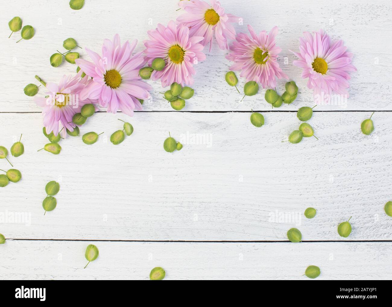 Fiori rosa e piccole foglie verdi su un bianco brillante sfondo bianco vintage che si sente perfetto per una festa o un invito doccia Foto Stock