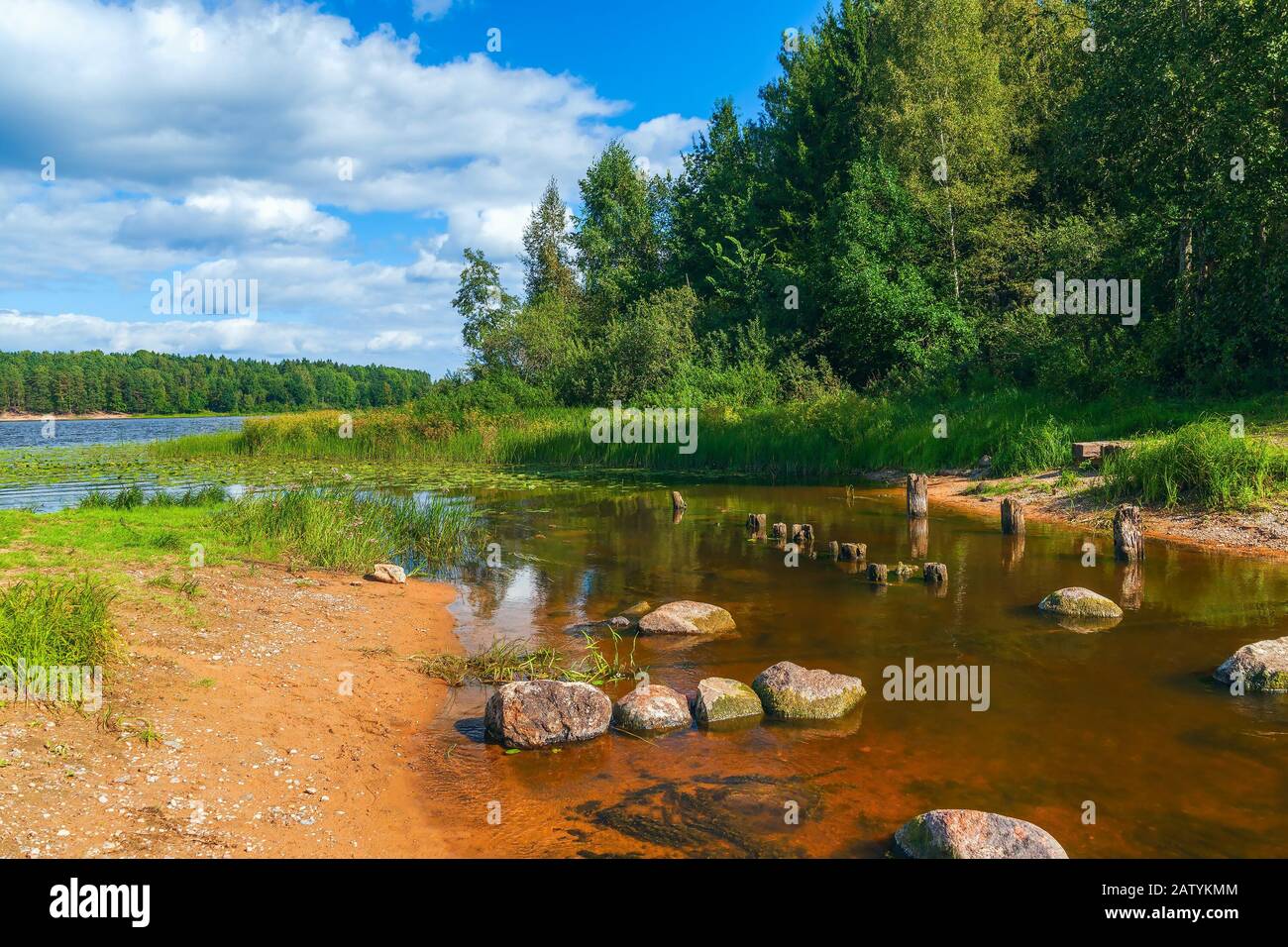 Piccolo affluente del fiume Oredezh con i resti di pali di legno del vecchio ponte. Leningrado oblast. Russia Foto Stock