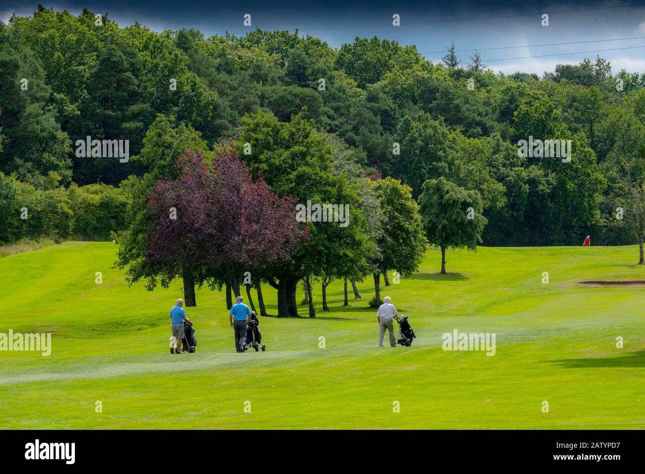 Sistema di irrigazione su campo da golf Foto Stock