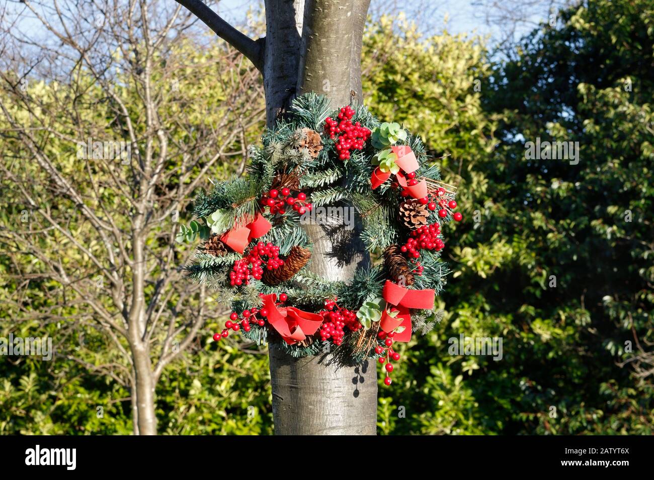 Fiori wreaths attaccato ad albero, Abbey Lane cimitero Sheffield Inghilterra Regno Unito Foto Stock