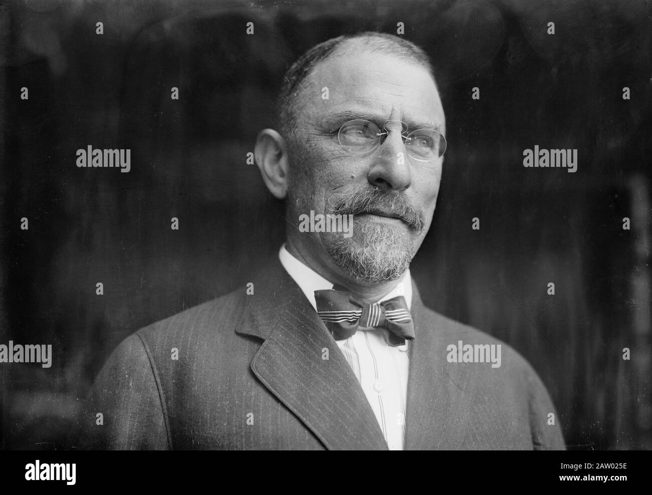 Henry Morgenthau (1856-1946), avvocato, uomo d'affari e ambasciatore degli Stati Uniti all'Impero Ottomano durante La Prima guerra mondiale Foto Stock