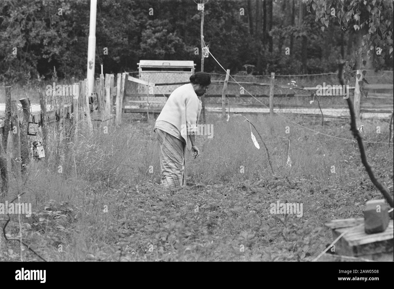 Campo di Moluccan Lunetten a Vught, ex campo di concentramento Vught, ultima caserma South Moluccan Data: 16 luglio 1984 luogo: Noord-Brabant, Vught Parole Chiave: Campi di concentramento Nome Persona: South Moluccan Foto Stock