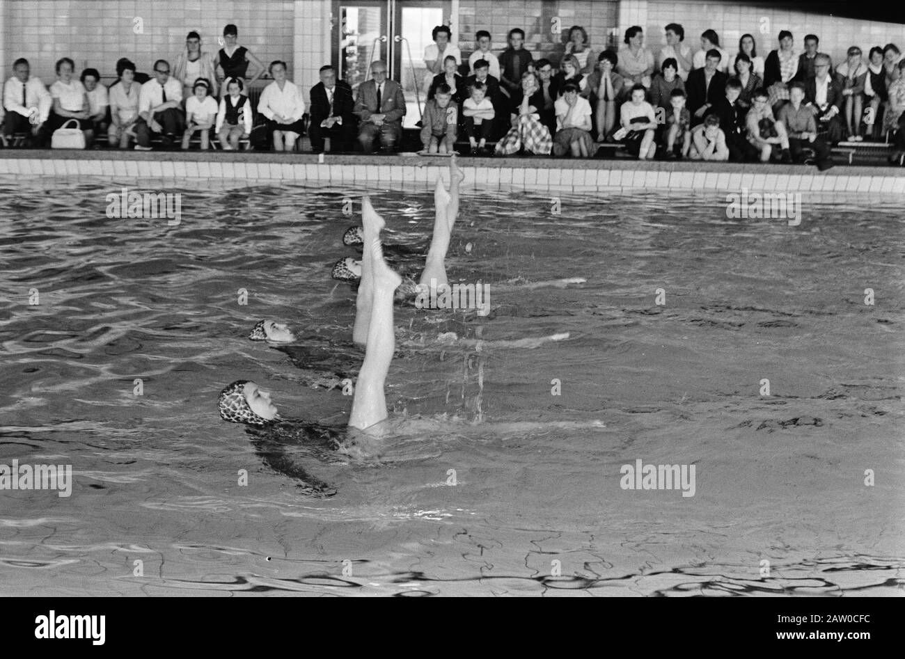 Campionati nazionali di nuoto d'arte in piscina Utrecht Den Hommel, i vincitori dei gruppi della serie Zwemvereniging ZAR Data: 10 maggio 1964 Località: Utrecht Parole Chiave: Piscina d'arte Foto Stock