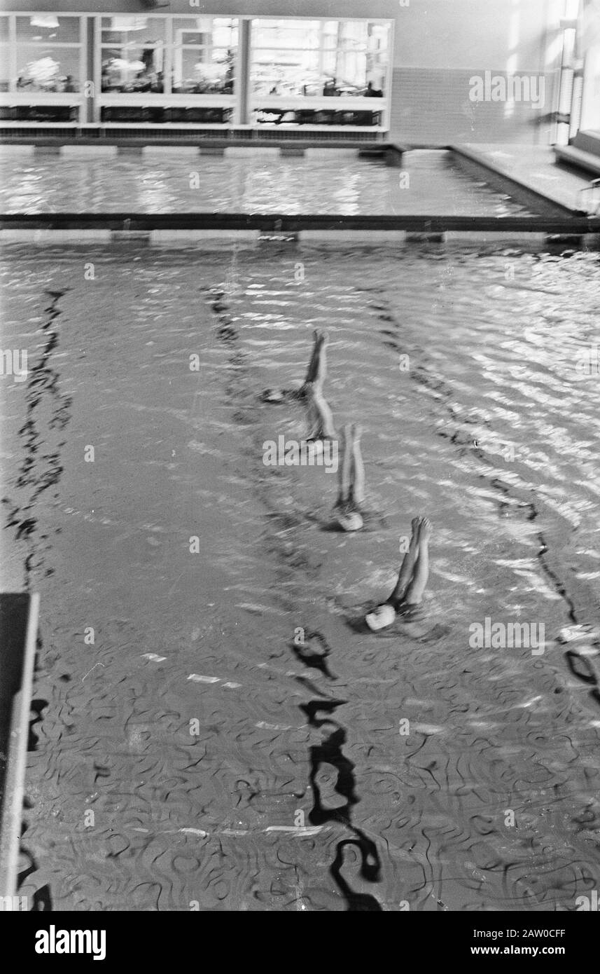 Campionati nazionali di nuoto d'arte in piscina Utrecht Den Hommel, i vincitori dei gruppi della serie Zwemvereniging ZAR Data: 10 maggio 1964 Località: Utrecht Parole Chiave: Piscina d'arte Foto Stock