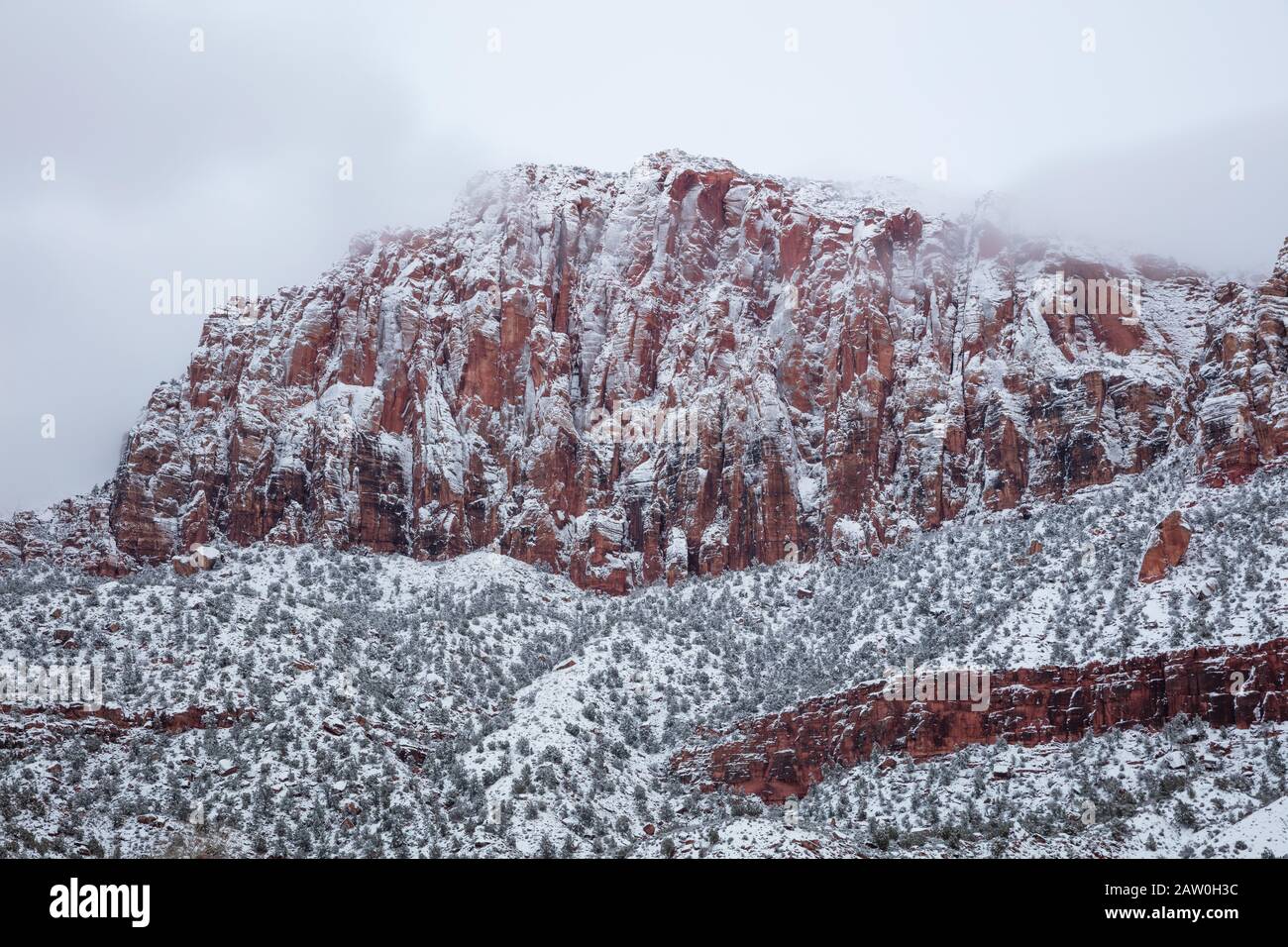 Neve aggrappata alle scogliere di roccia rossa dopo una tempesta di neve invernale, Zion National Park, Utah Foto Stock