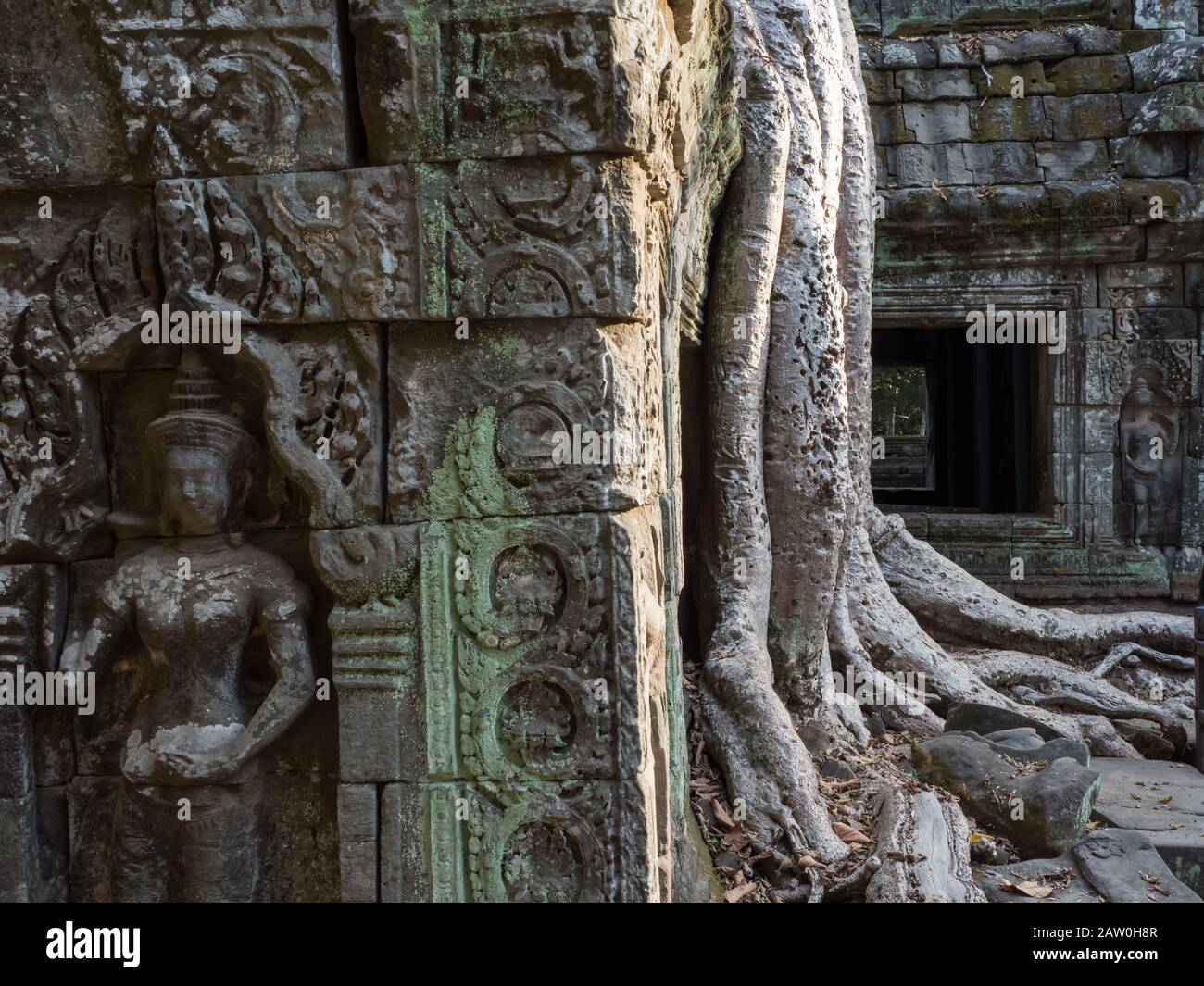 L'incredibile tempio della giungla di Ta Prohm vicino Siem Reap Cambogia Foto Stock