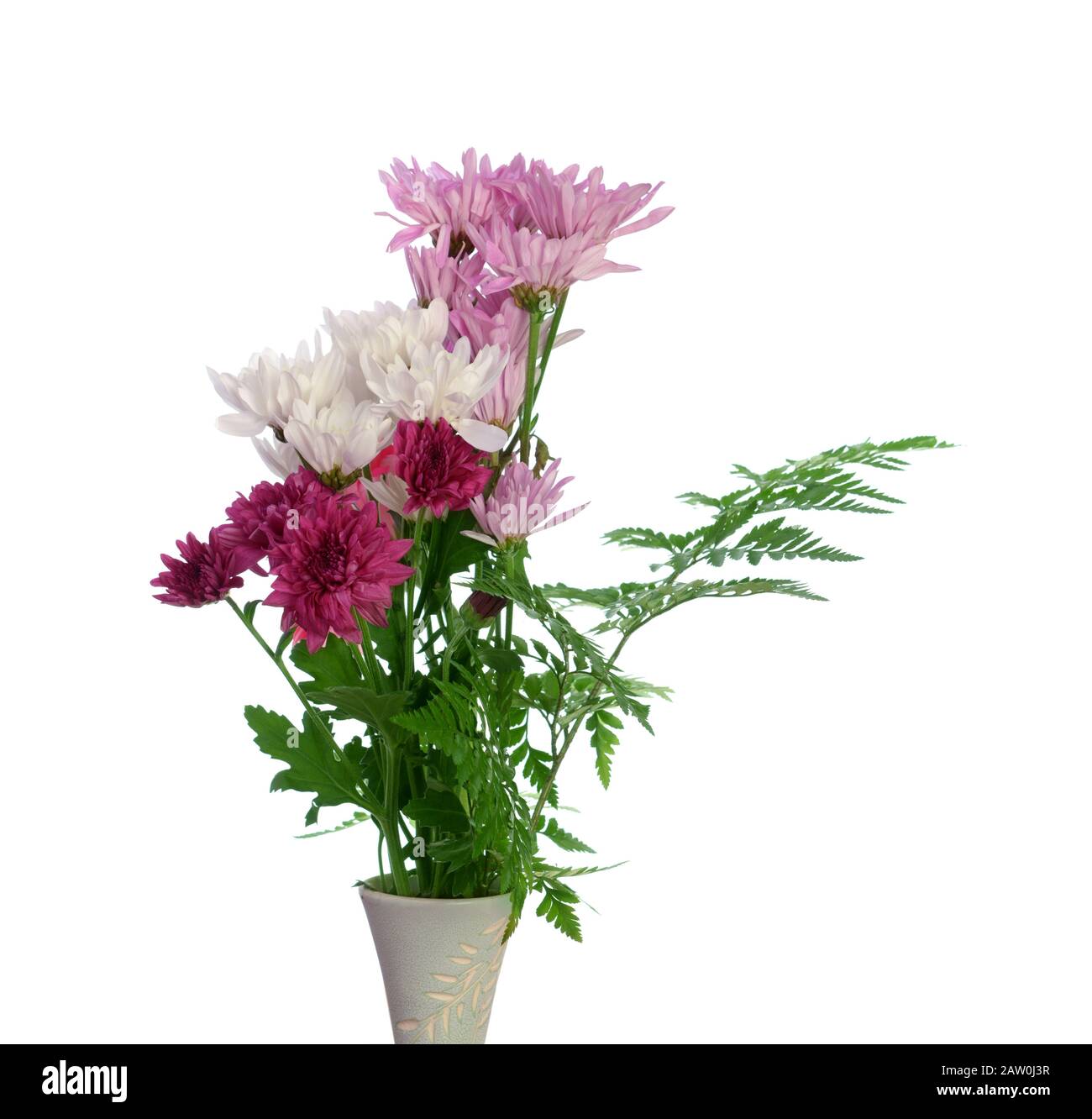 Un bouquet di fiori a margherita in vaso isolato su bianco Foto Stock