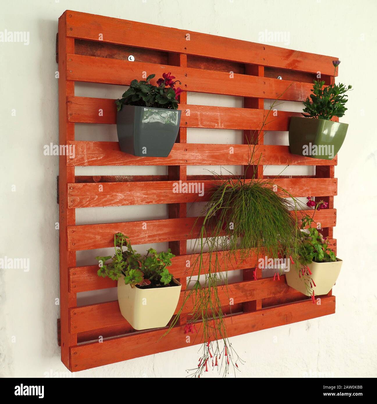 Vasi Di Fiori Su Pallet Di Legno Dipinto Di Arancione Foto Stock Alamy