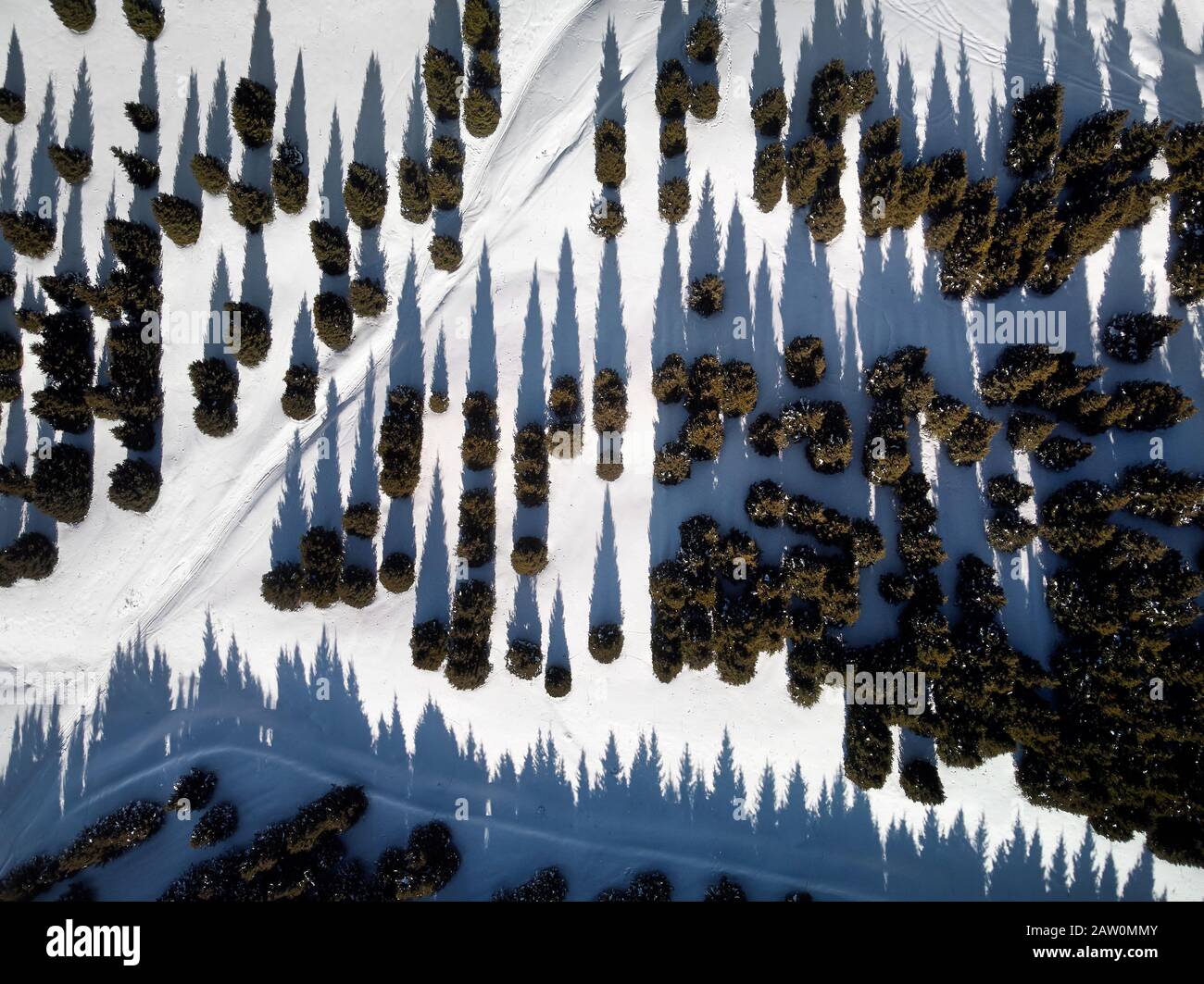 Vista dall'alto sugli alberi nella foresta invernale con neve. Sfondo invernale. Foto Stock