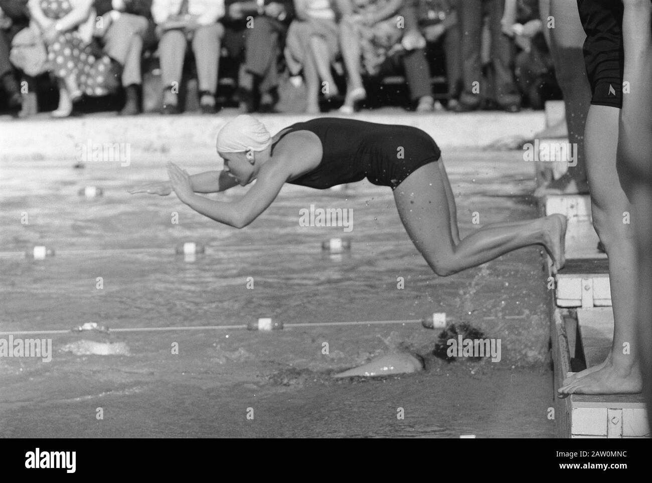 Campionati olandesi di nuoto in Apeldoorn, N. 7 stelle D. Koopman 4 x 100 metri relè 8 inizia W. Lambour 9 e 10 relè team v.l.n.r.l.. Lambour, A. Data: 7 agosto 1960 Località: Apeldoorn, Gelderland Parole Chiave: Relays, START, swimming Championships Nome Persona: A. Lasterie D. Merchant, W. Lambour Foto Stock Campionati olandesi di nuoto in Apeldoorn, N. 7 stelle D. Koopman 4 x 100 metri relè 8 inizia W. Lambour 9 e 10 relè team v.l.n.r.l.. Lambour, A. Data: 7 agosto 1960 Località: Apeldoorn, Gelderland Parole Chiave: Relays, START, swimming Championships Nome Persona: A. Lasterie D. Merchant, W. Lambour Foto Stock