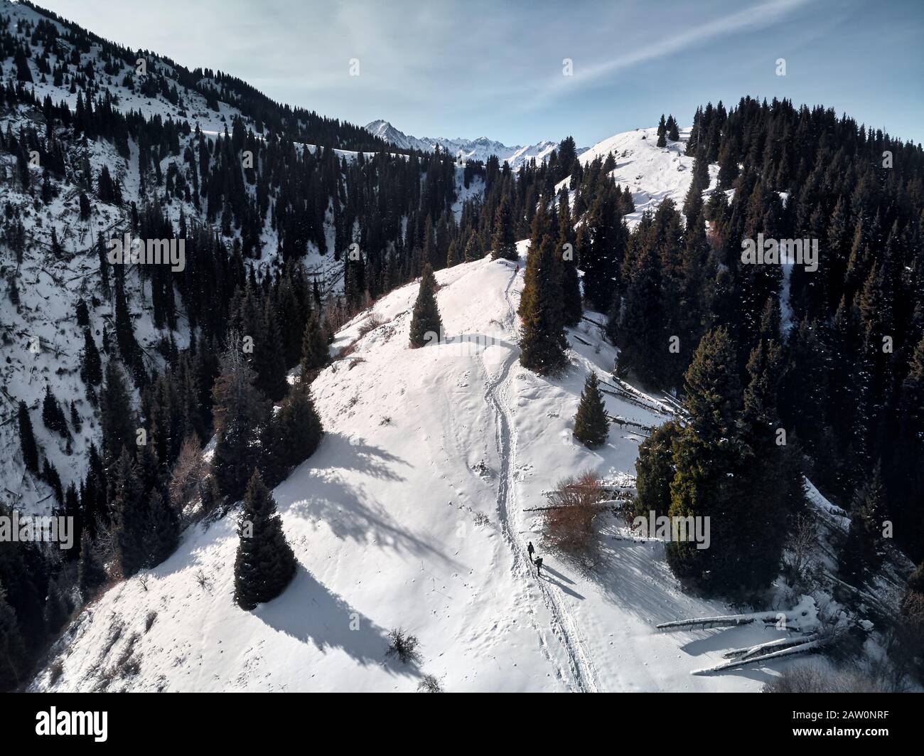 Vista dall'alto sulla foresta invernale e sulle persone con zaino sul sentiero. Sfondo invernale. Foto Stock