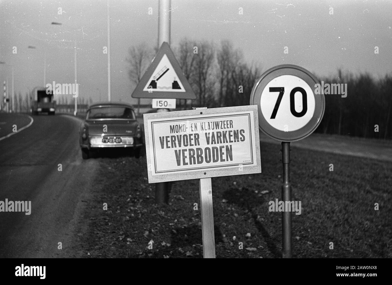Nuovo segno di divieto per l'afta epizootica a Ringvaart Schiphol Data: 25 gennaio 1966 Località: North-Holland, Schiphol Parole Chiave: Segni, bestiame, strade, malattie Foto Stock
