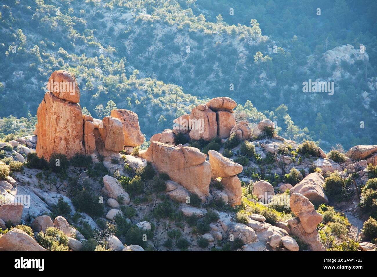 Spettacolari formazioni di pietra di sabbia nel New Mexico, USA Foto Stock