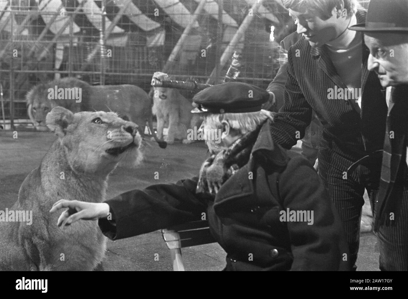 Serie televisiva 'Sì Sister, No Sister 'VARA Grandpa tra i leoni, colpi di circo a Boltini per Sì infermiera No infermiera. Nonno (leen jongewaard) con un leone Data: 4 maggio 1968 Parole Chiave: Attori, circo, animali, leoni, televisione, televisione Nome Persona: Jongewaard Leen Foto Stock