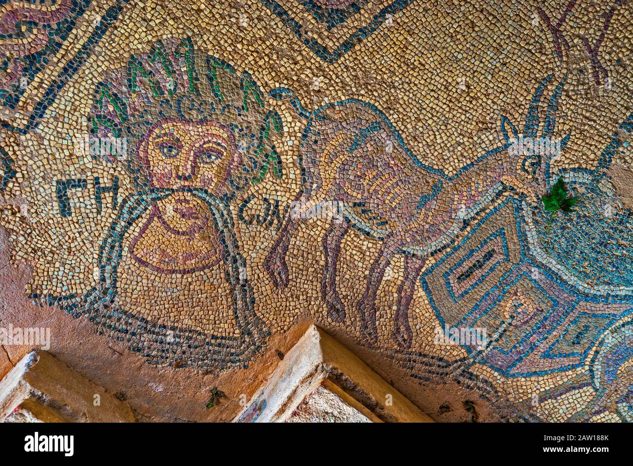 Mosaico del pavimento, Basilica di Polyconch, chiesa paleocristiana, 4th  cent, sito archeologico di Plaosnik a Ohrid, Patrimonio dell'Umanità  dell'UNESCO, Macedonia del Nord Foto stock - Alamy