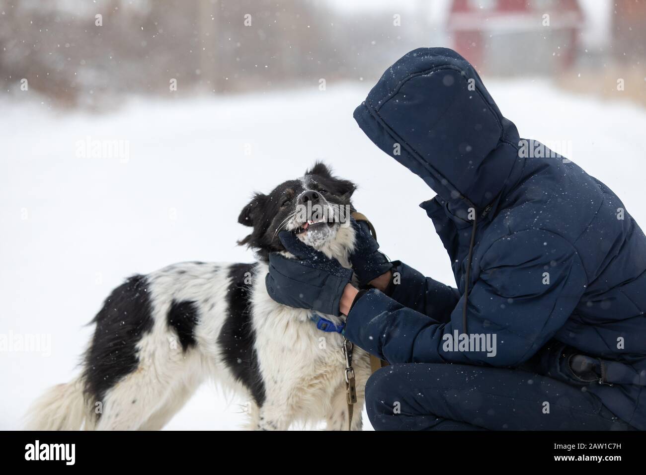 giovane volontario in asilo nido per cani. Concetto di volontariato e rifugi per animali. Foto Stock