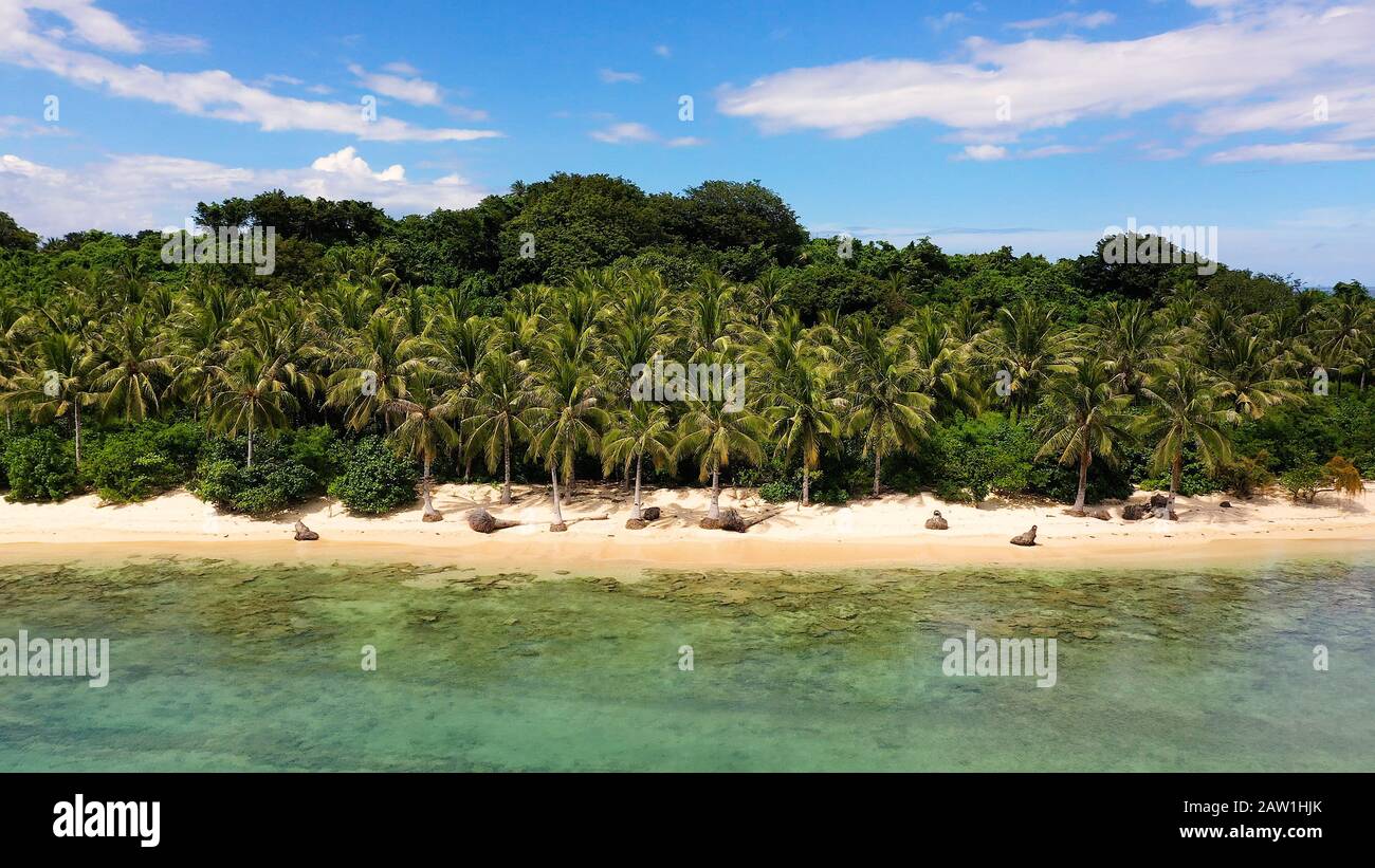 Spiaggia di sabbia bianca selvaggia con palme da cocco. Isole Caramoan, Filippine. Bellissime isole, vista dall'alto. Concetto di vacanza estiva e di viaggio. Foto Stock