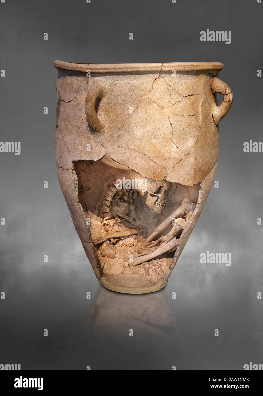 I pithos minoici di sepoltura in argilla con scheletro in feto, periodo Neopalaziale 1700-1450 a.C.; Museo Archeologico di Heraklion, sfondo grigio. Il corpo Foto Stock