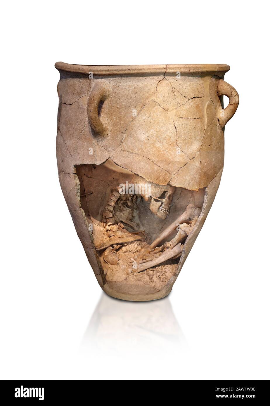 I pithos minoici di sepoltura in argilla con scheletro in feto, periodo Neopalaziale 1700-1450 a.C.; Museo Archeologico di Heraklion, sfondo bianco. Il corpo Foto Stock
