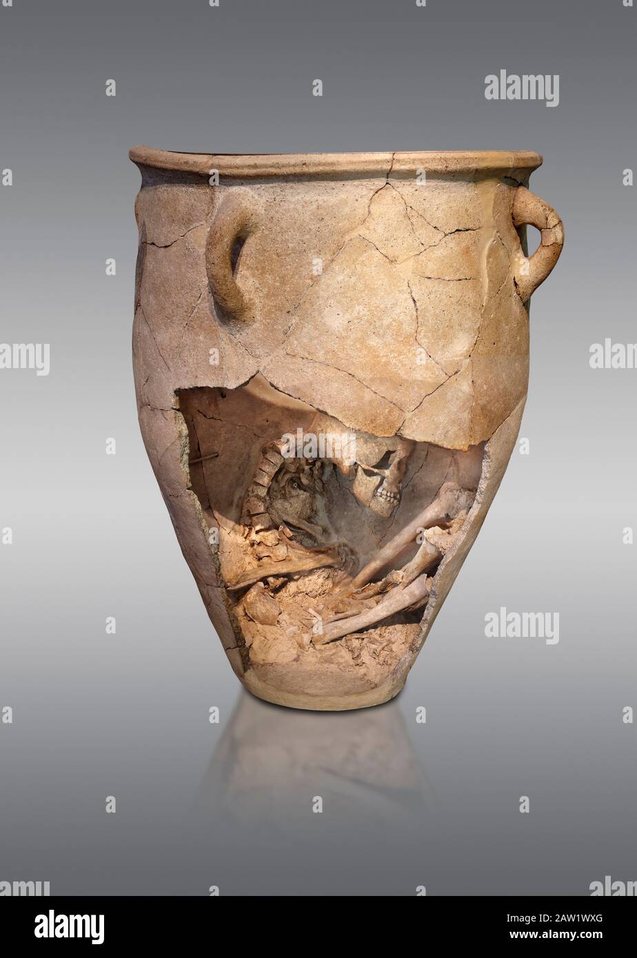 I pithos minoici di sepoltura in argilla con scheletro in feto, periodo Neopalaziale 1700-1450 a.C.; Museo Archeologico di Heraklion, sfondo grigio. Il corpo Foto Stock