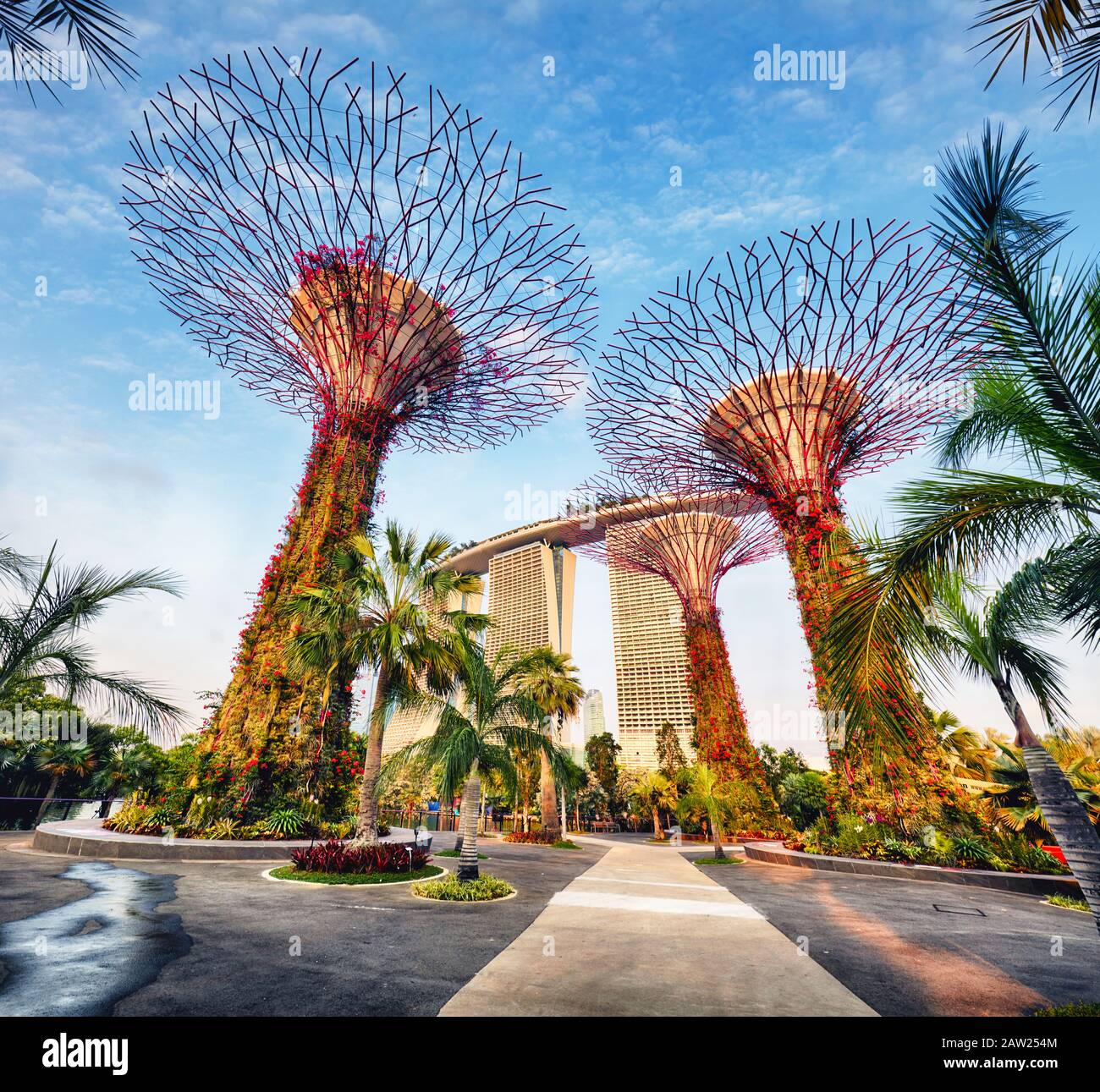 Singapore Super Tree Garden nella baia di Marina al giorno, nessuno Foto Stock