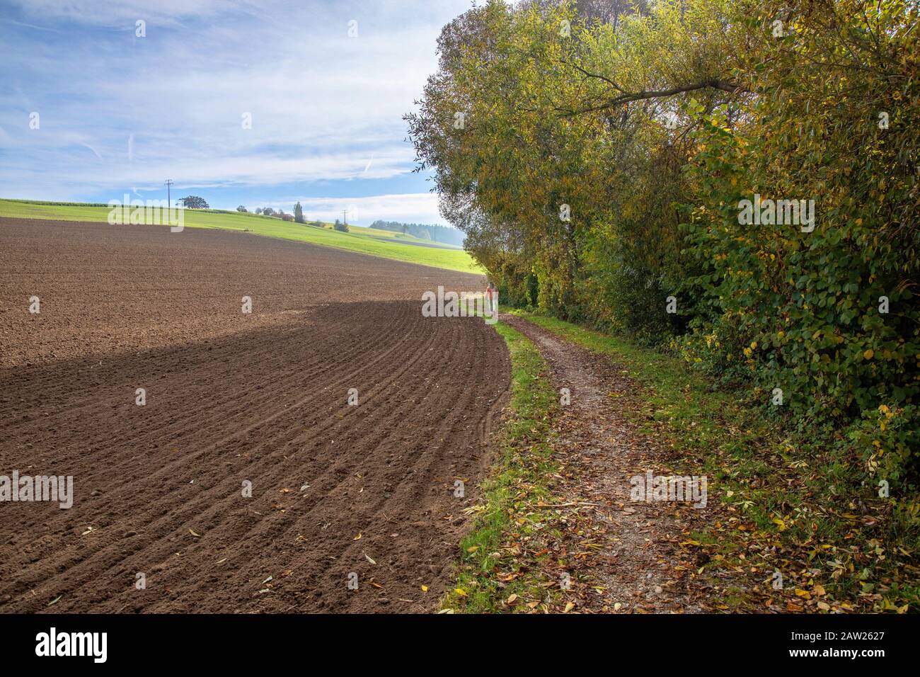 Erogazione dei sedimenti nei ruscelli, le strisce tampone obbligatorie non sono state rispettate, Germania, Baviera, Isental Foto Stock
