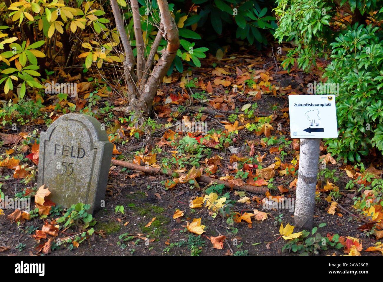 Cartello con la scritta "Zukunftsbaumpfad" sul cimitero Dortmund Brackel, Germania, Renania Settentrionale-Vestfalia, Ruhr Area, Dortmund Foto Stock