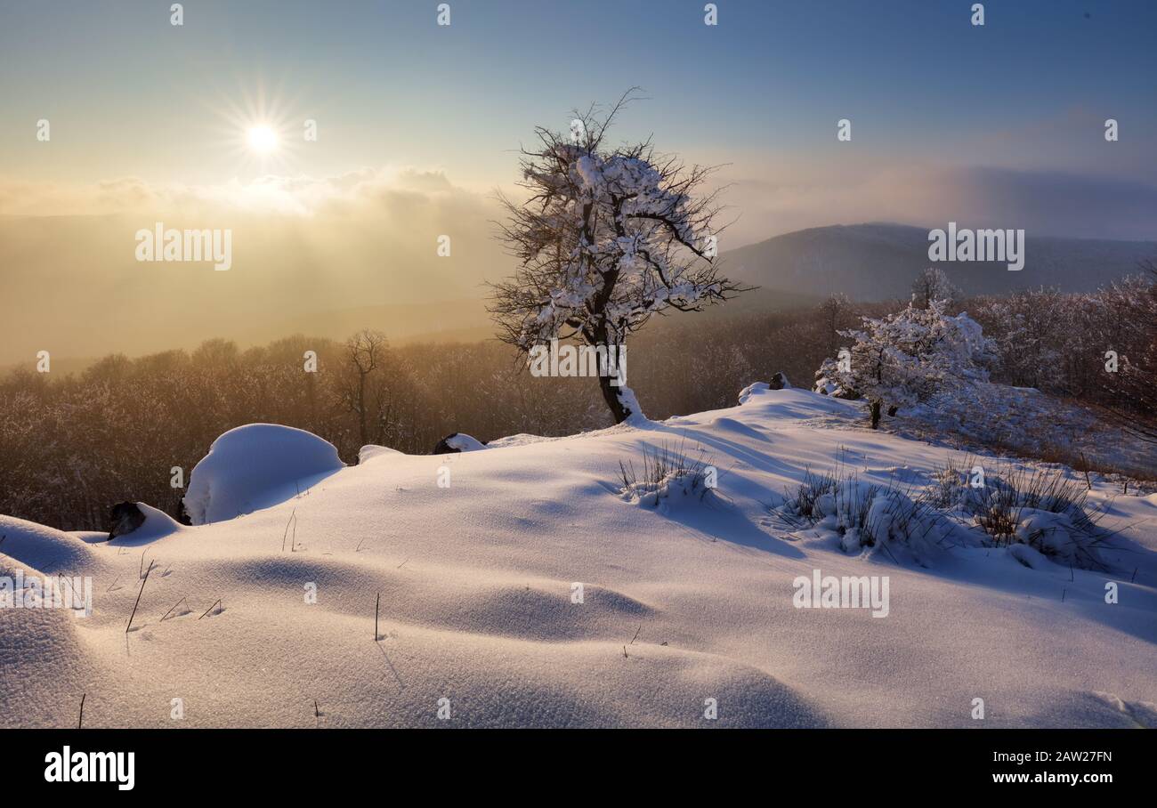 Incantevole paesaggio invernale in montagna. Sunrise Foto Stock