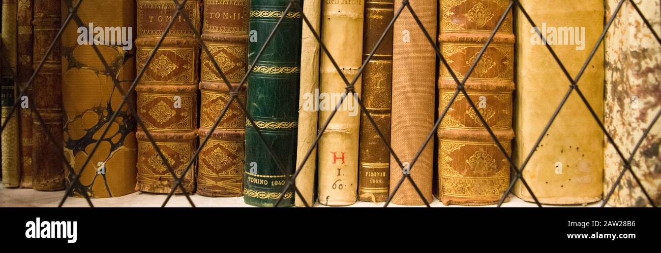 Antica biblioteca con scaffali pieni di libri e corridoi infiniti, disposti in un ordine specifico secondo il sistema di classificazione della biblioteca. Foto Stock