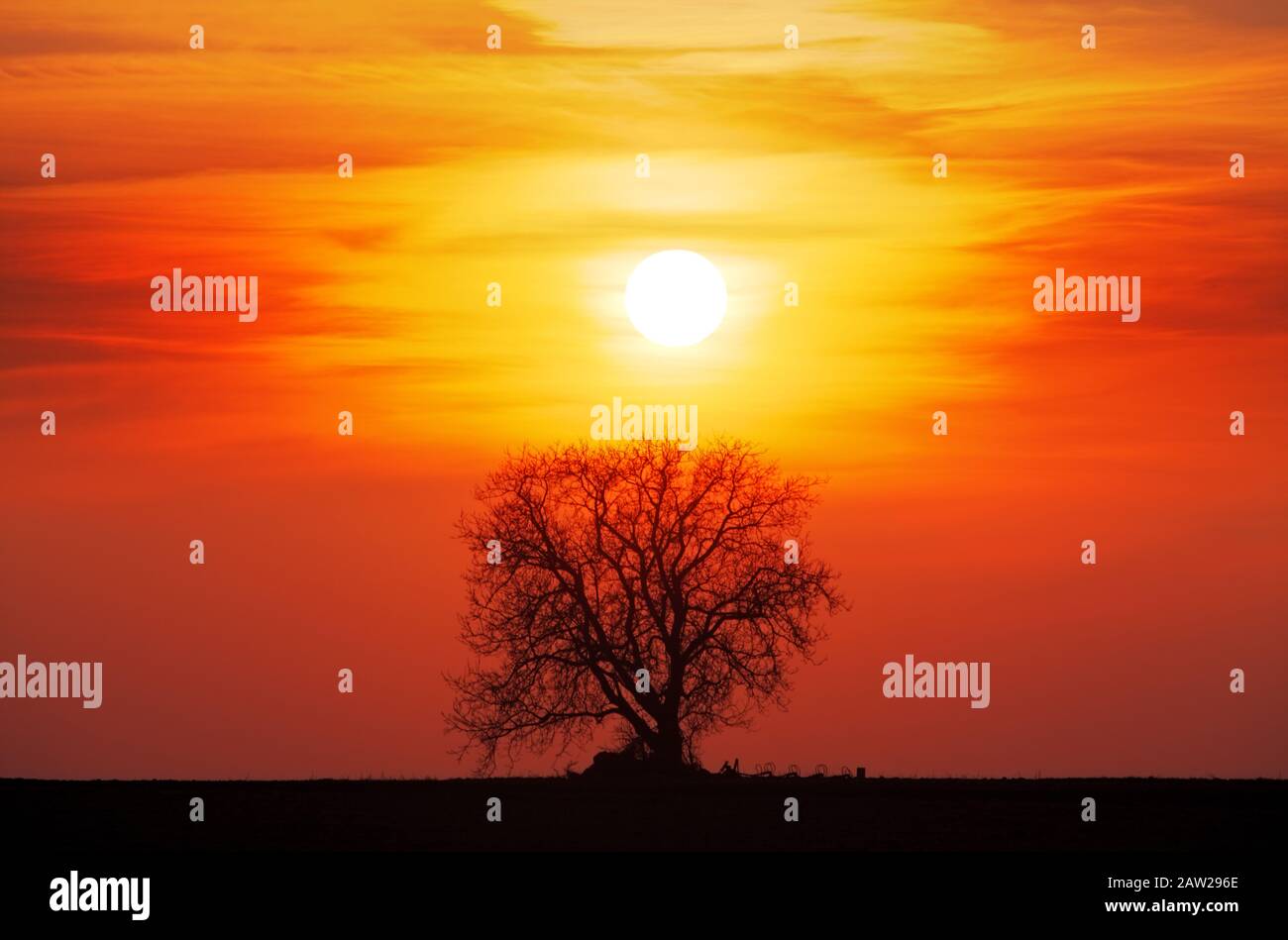 Albero silhouette con sole e rosso arancio giallo cielo Foto Stock