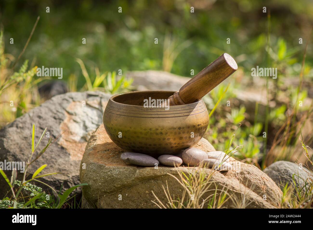 Ciotola di canto, strumento buddista usato nella terapia del suono, ciotola di canto tibetano. Vicino allo stagno. Foto Stock