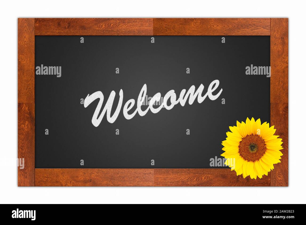 'Welcome' scritto in gesso su una lavagna bianca con girasole su cornice di legno, isolato su sfondo bianco Foto Stock