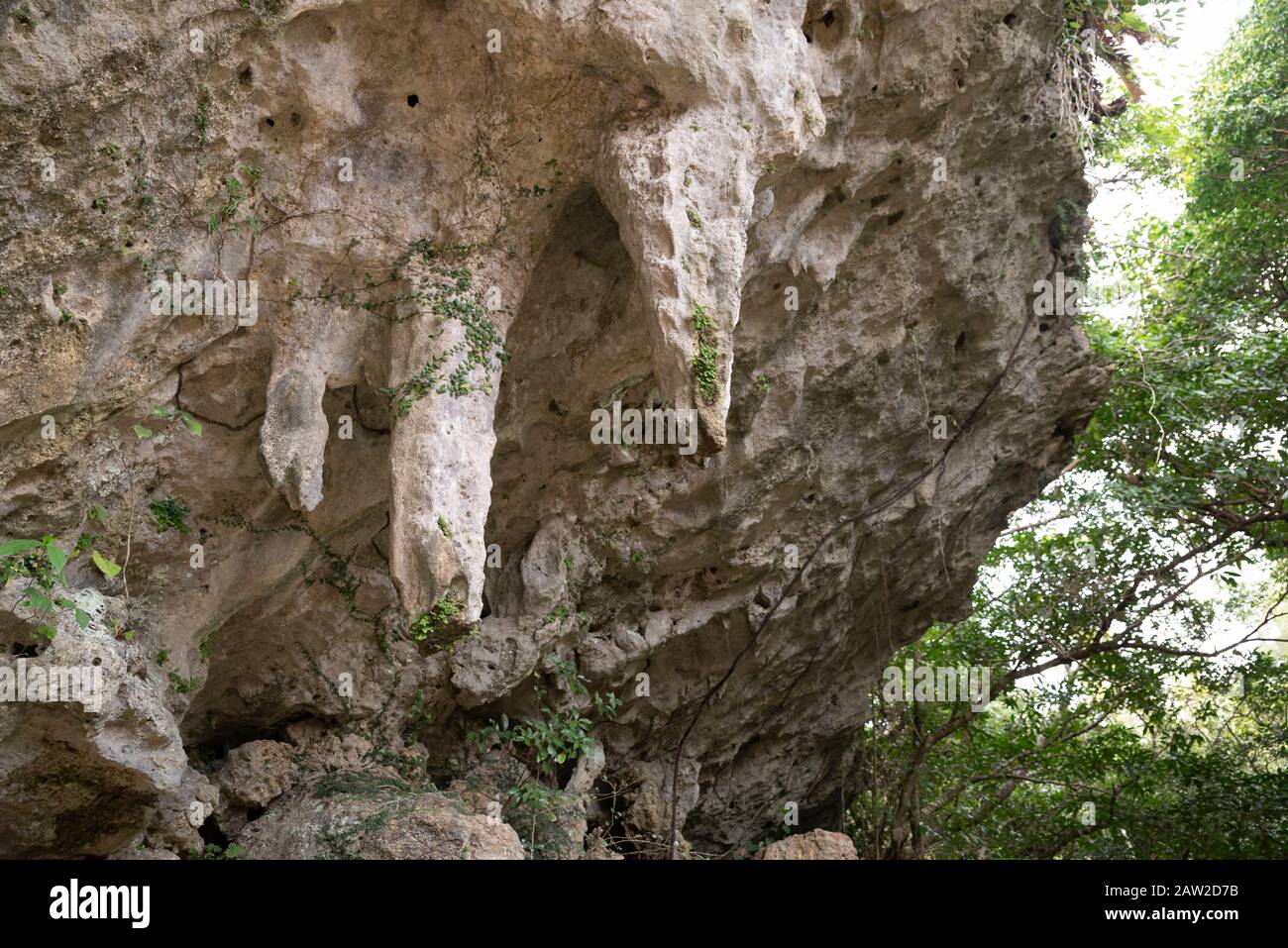 Stalattiti che sgocciolano acqua Santa nelle urne a Sefa-utaki, il luogo più sacro di Okinawa, il culto degli antenati, patrimonio dell'umanità dell'UNESCO, il villaggio di Chinen Foto Stock