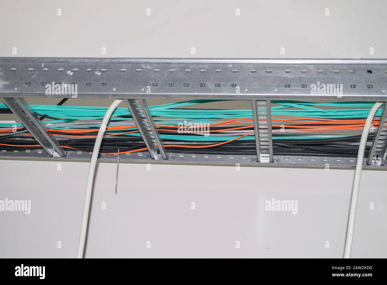 I fili Internet elettrici e in fibra ottica sono disposti lungo la cornice metallica del soffitto sospeso. Cavi multicolore per apparecchiature elettriche e per telecomunicazioni Foto Stock