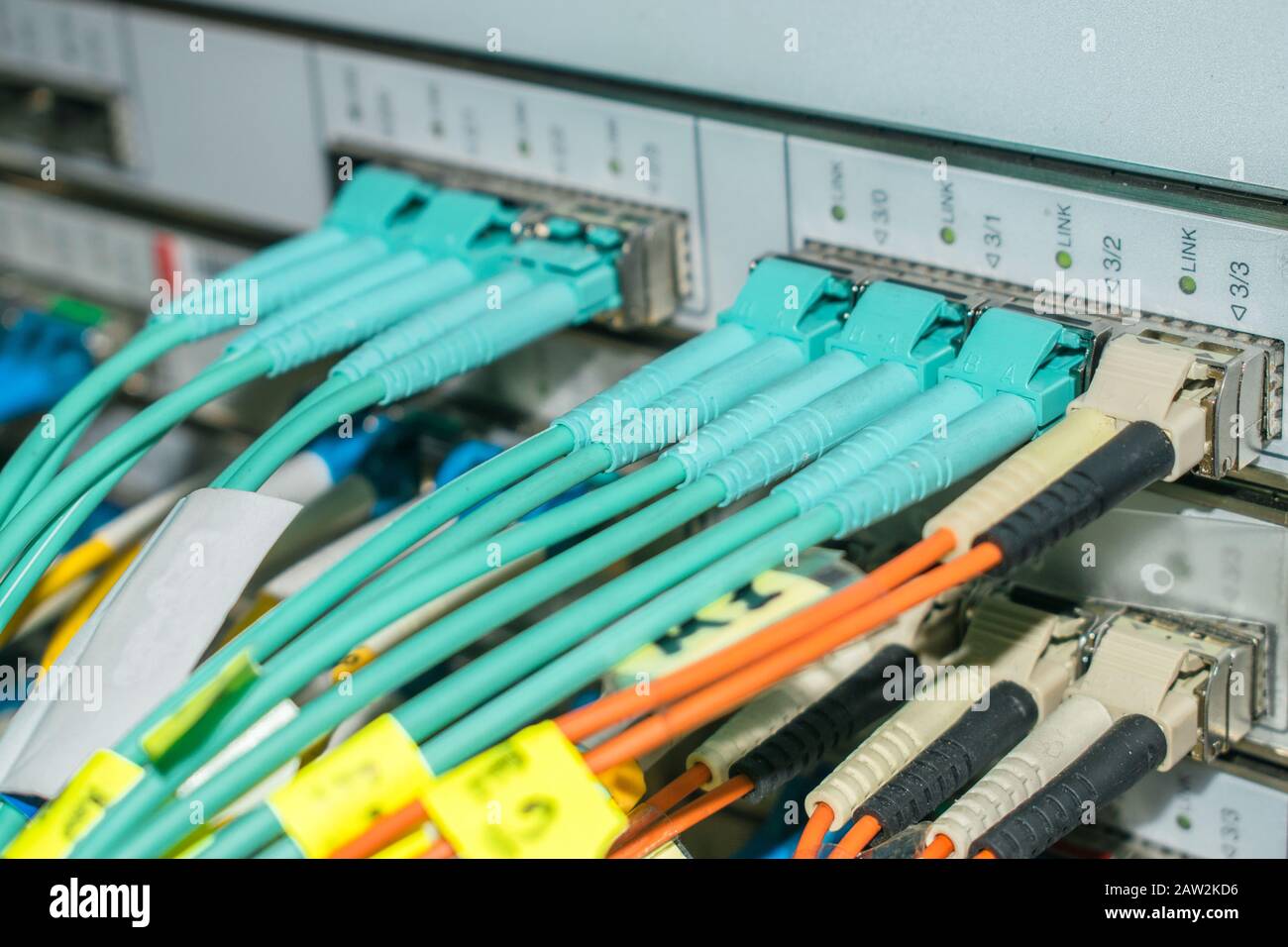 I cavi Internet in fibra ottica sono collegati al router centrale.  Connessione a Internet ad alta velocità. Il server di routing si trova nel  data center Foto stock - Alamy