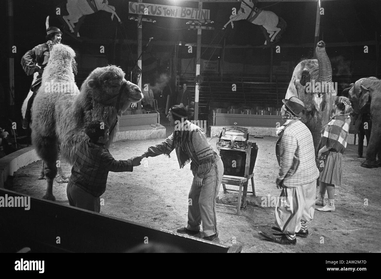 Pipo nel circo quando toni Boltini, folla nell'arena Data: 22 febbraio 1968 Parole Chiave: Circo, clown, cammelli, sentieri, tende Nome Persona: Boltini, toni , Pipo de Clown, Witschge, Cor Foto Stock