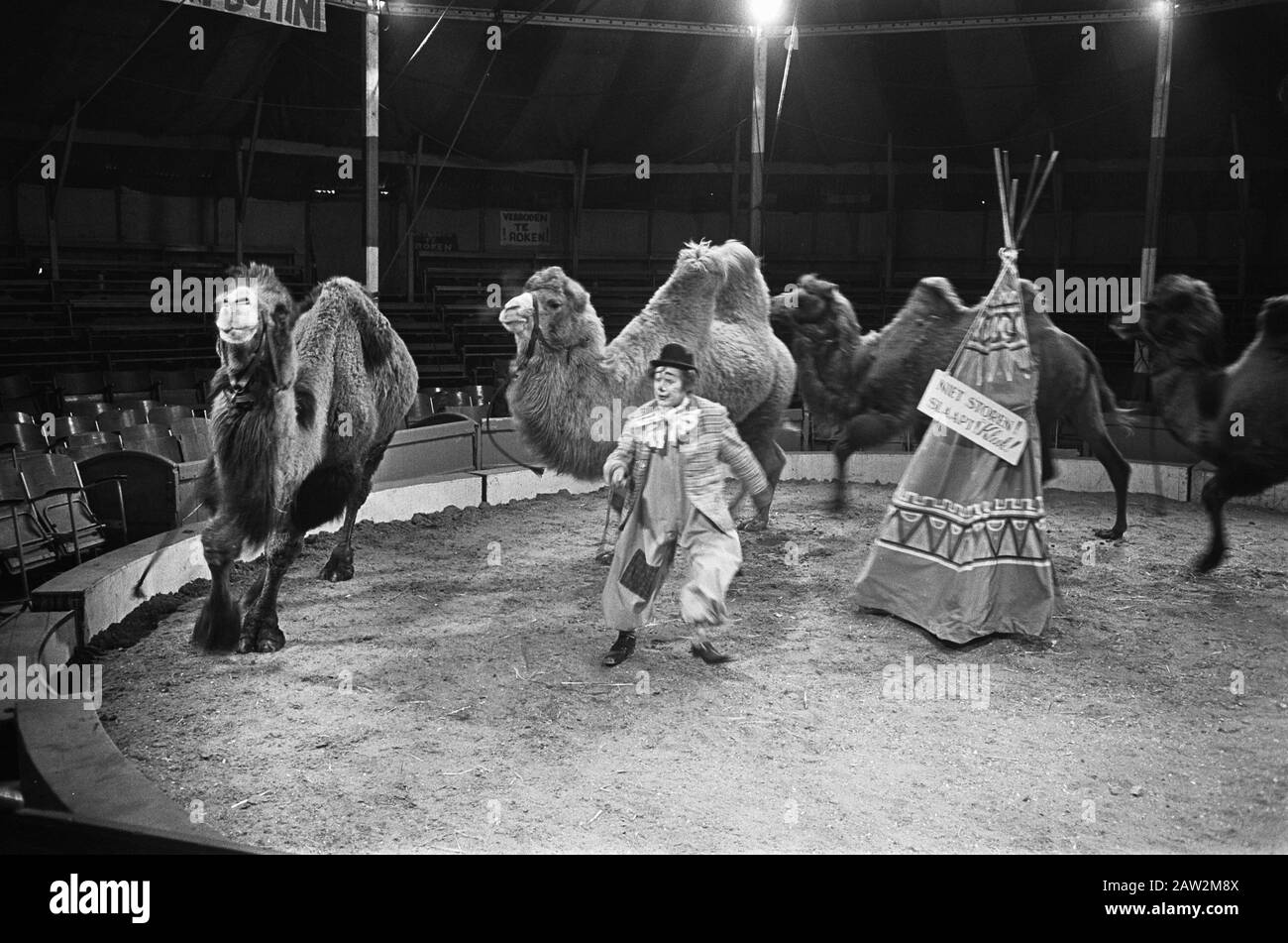 Pipo nel circo quando toni Boltini Data: 22 febbraio 1968 Parole Chiave: Circo, clown, cammelli Nome Persona: Pipo de Clown, Witschge, Cor Foto Stock