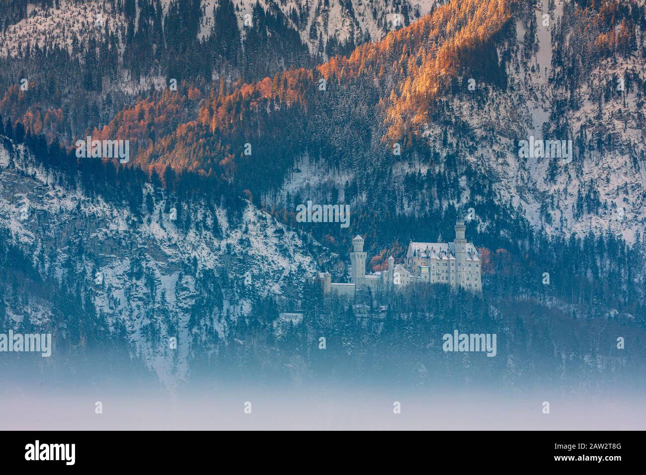 Alba invernale al Castello di Neuschwanstein, vicino a Hohenschwangau, Baviera, Germania. Foto Stock