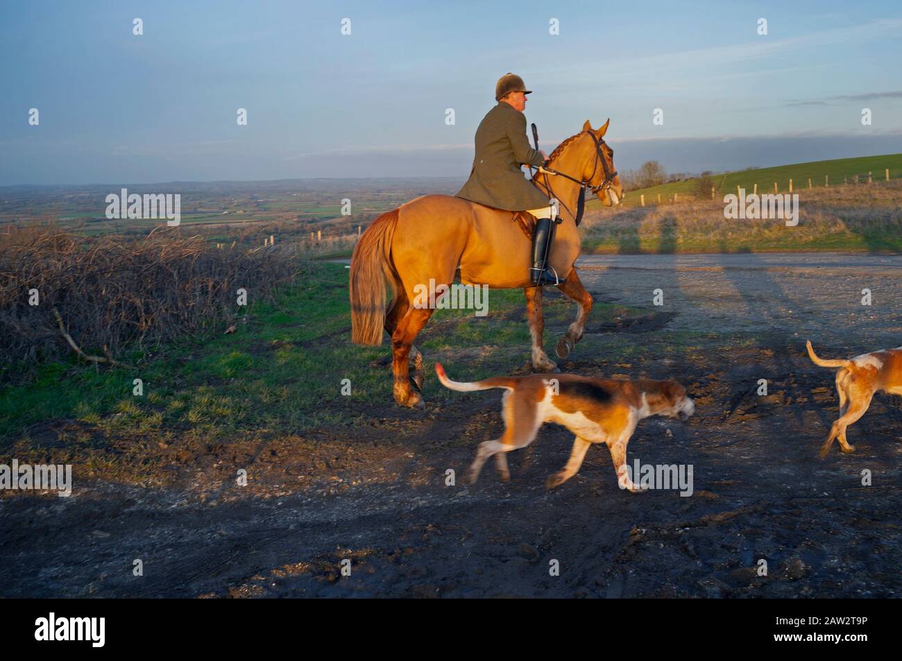 Il Southdown e la caccia all'Eridge sui Downs Foto Stock