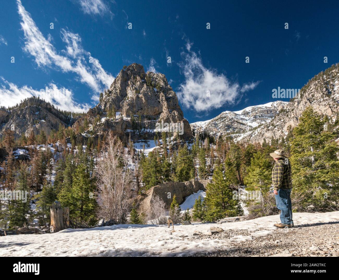Charleston Peak massiccio, sulla destra, in lontananza, vista in aprile da Mary Jane Falls Trail, Spring Mountains National Recreation Area, Nevada, USA Foto Stock