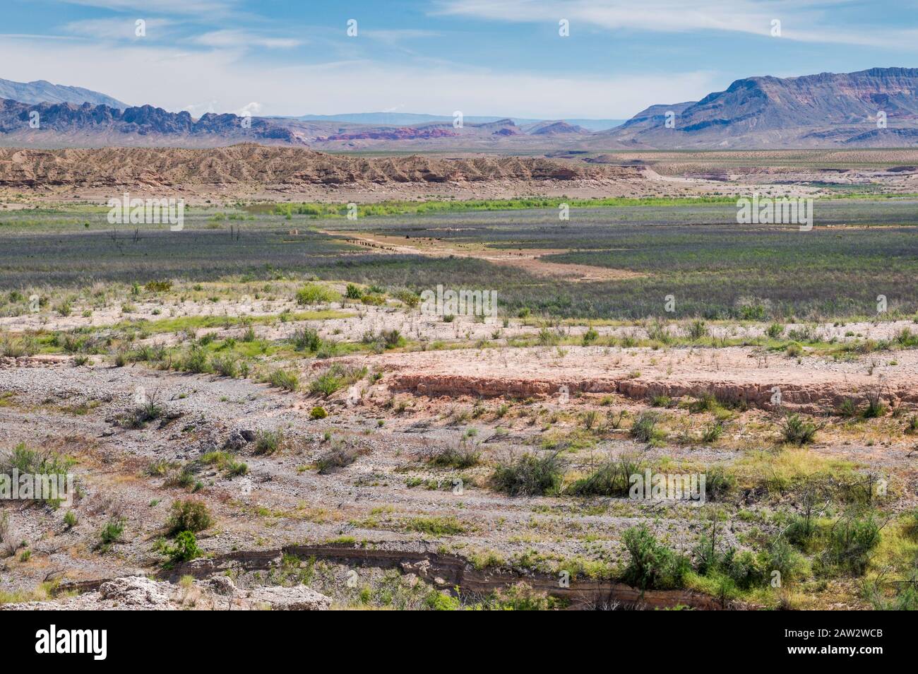 Posizione della città di St Thomas, ora città fantasma nella Lake Mead National Recreation Area, Nevada, Stati Uniti Foto Stock