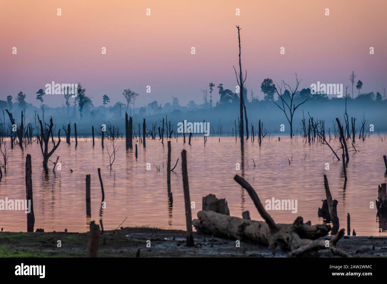 Tramonto su alberi secchi, fiume Nam Theun, Thalang, Thakhek, Laos Foto Stock