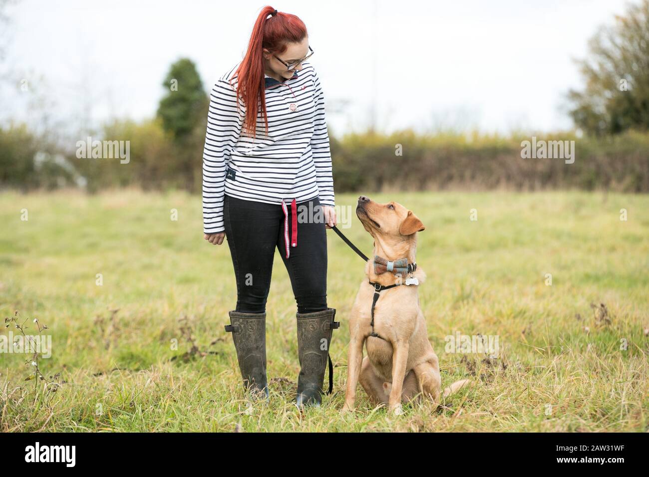 Donna che cammina il suo cane Foto Stock