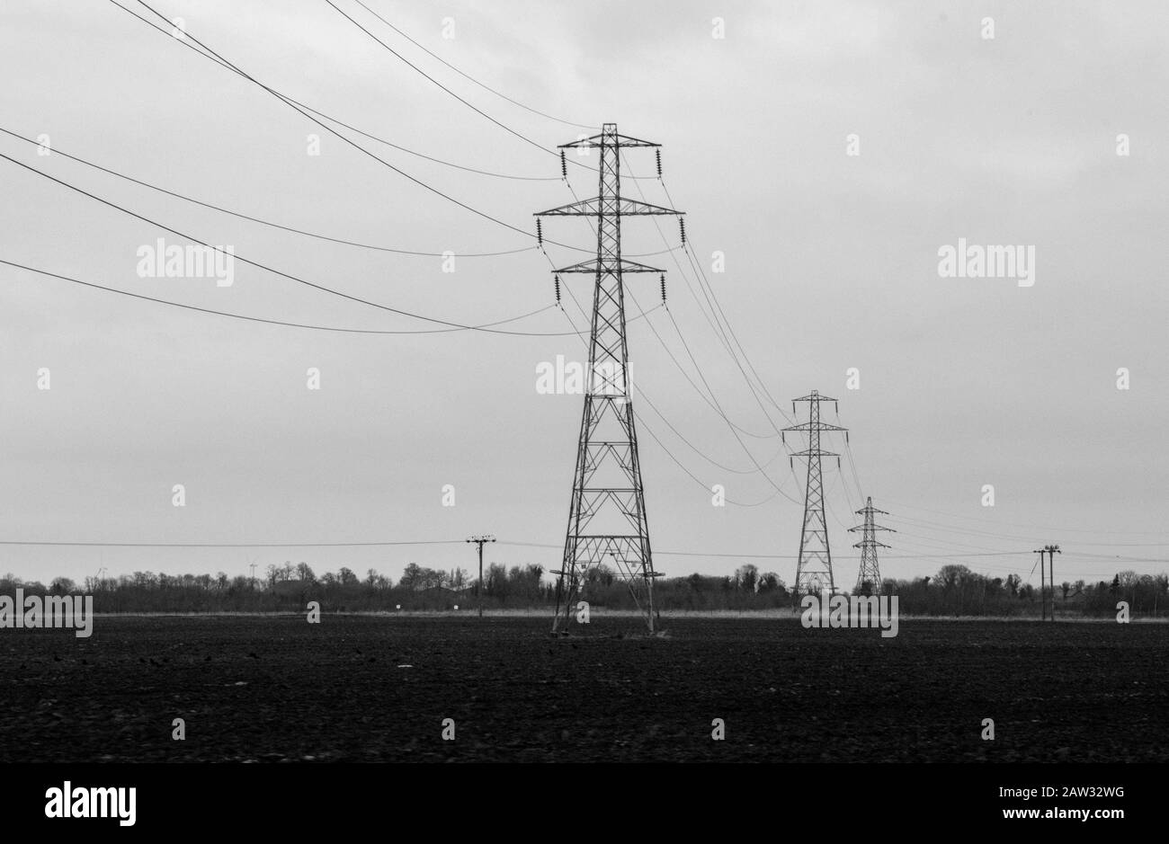 Una fila di piloni di elettricità si dipanano attraverso la campagna nel Regno Unito. Foto Stock